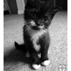 Meet your Posher, Jade